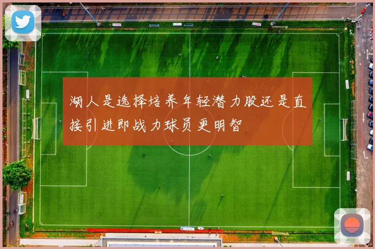 湖人是选择培养年轻潜力股还是直接引进即战力球员更明智