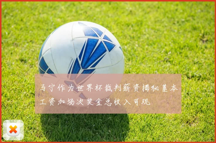 马宁作为世界杯裁判薪资揭秘基本工资加场次奖金总收入可观